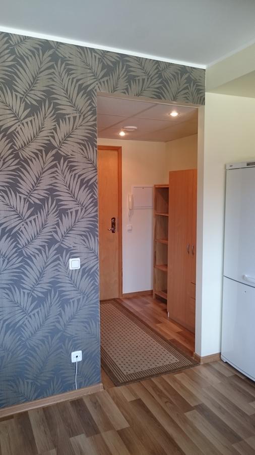 Paernu City Center Apartment Екстер'єр фото